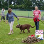 The Big Lunch